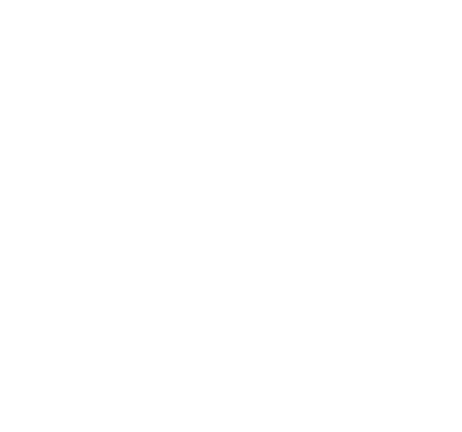 Vergi Denetim ve Danışmanlık Hizmetleri 
